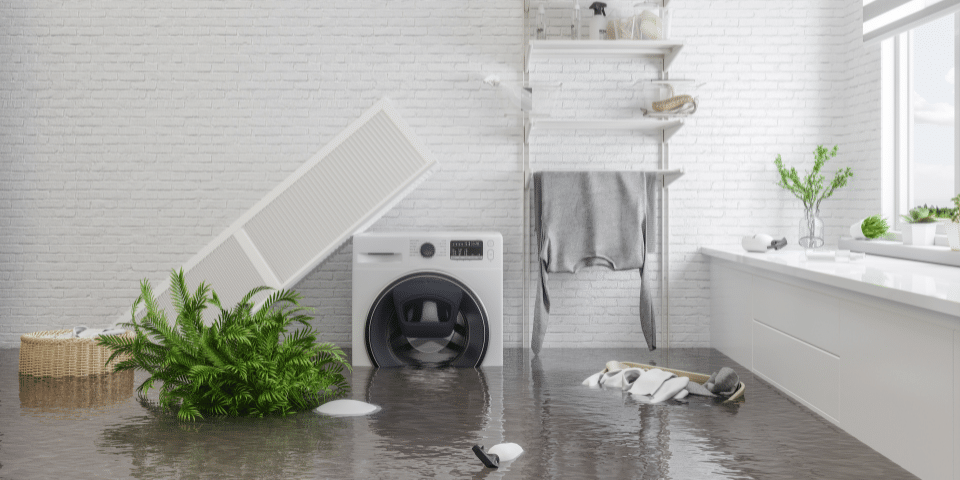 How Sump Pumps Prevent Basement Flooding and Water Damage to Your Crawl Space