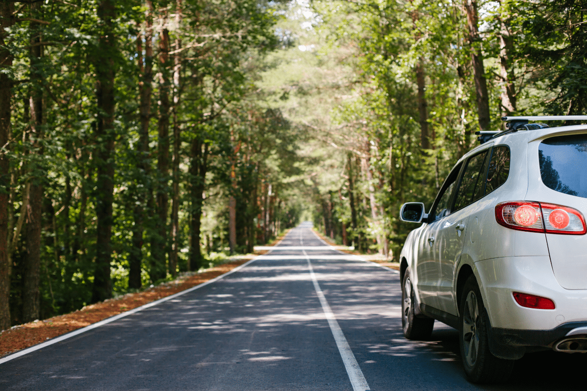 Factors Affecting Auto Insurance Rates